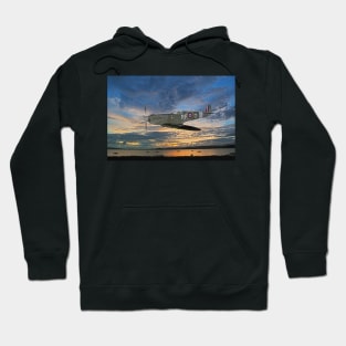 Spitfire Photo manip Hoodie